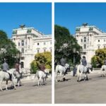 Lipizzaner im Burggarten