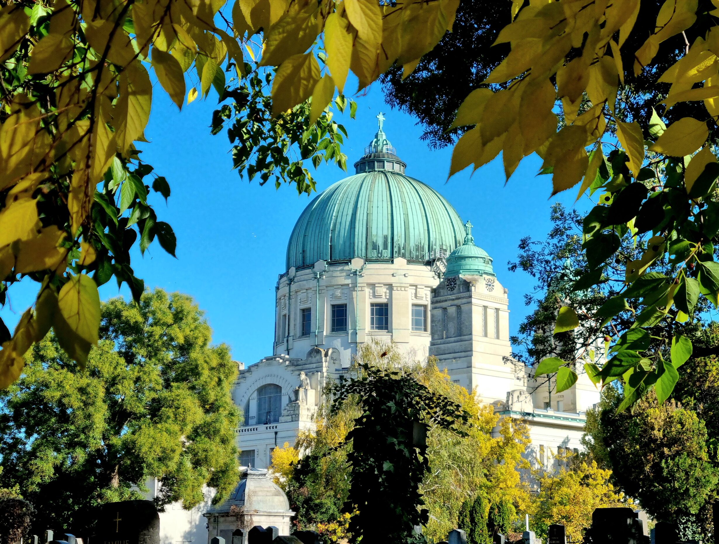 Am Zentralfriedhof herrscht Stimmung!